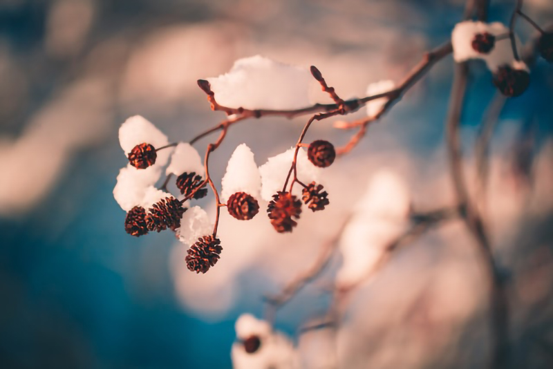 temperature_002