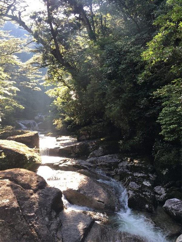 屋久島