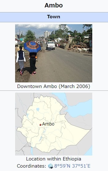 Ambo