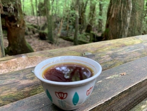 森や川に持っていって淹れるのがおすすめ